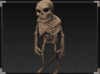 Skeleton Rogue